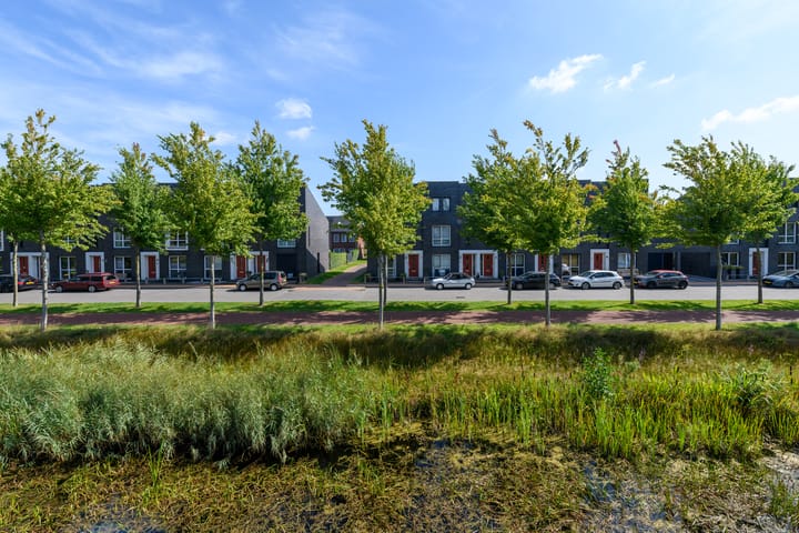 Foto 46 van Henriëtte Roland Holstweg 14