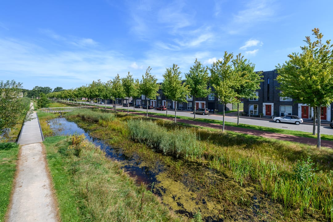 Photo 47 of Henriëtte Roland Holstweg 14