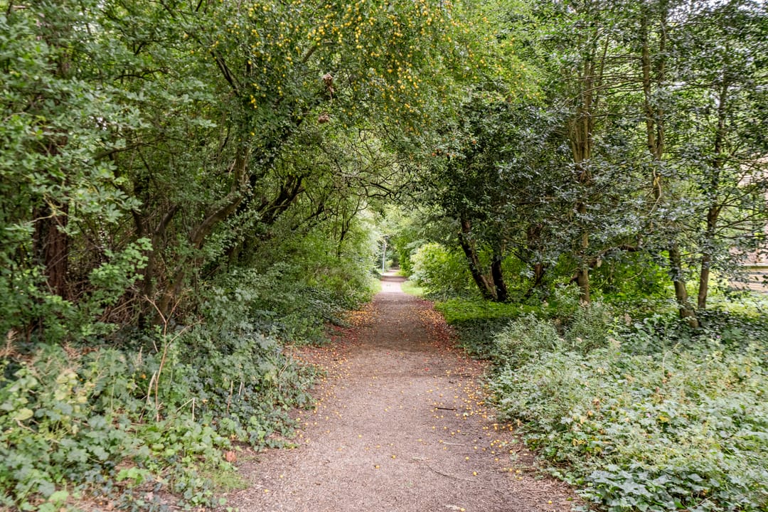 Foto 38 van Kastanjelaan 4