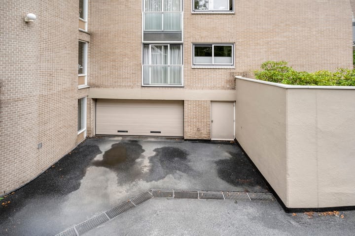 Photo 41 of Molenerf 2