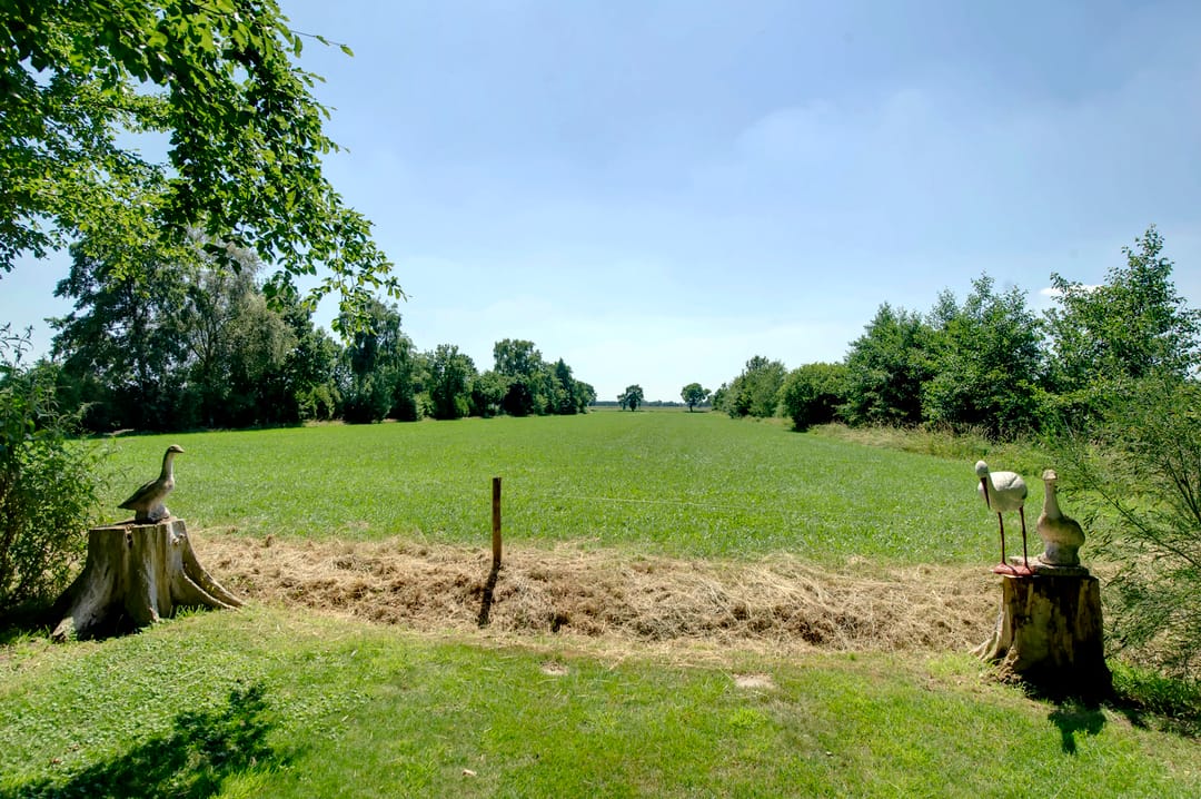 Foto 41 van Kokswijk 45