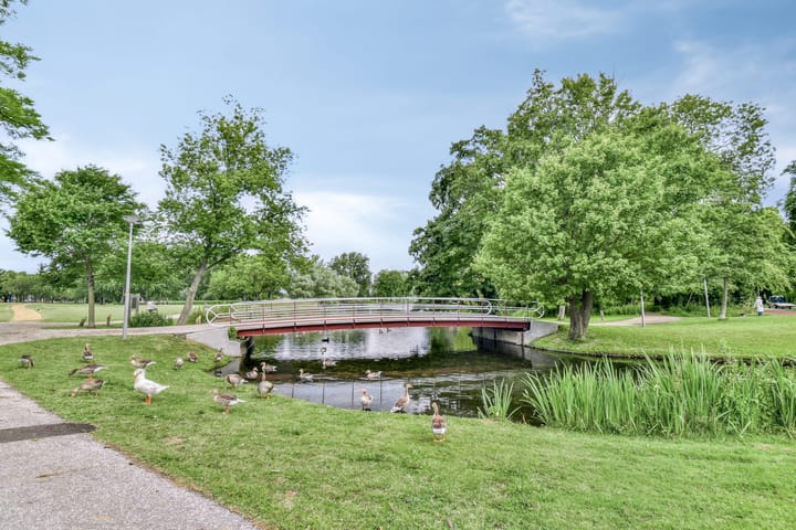 Foto 3 van Louise de Colignylaan 63