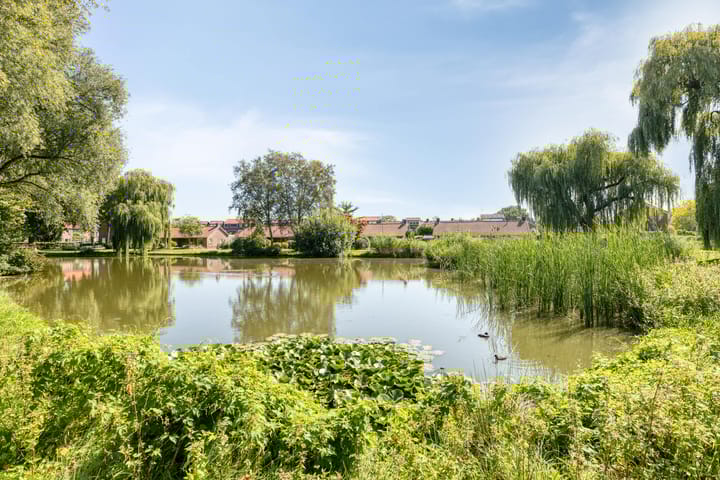 Foto 33 van Iepenlaan 11