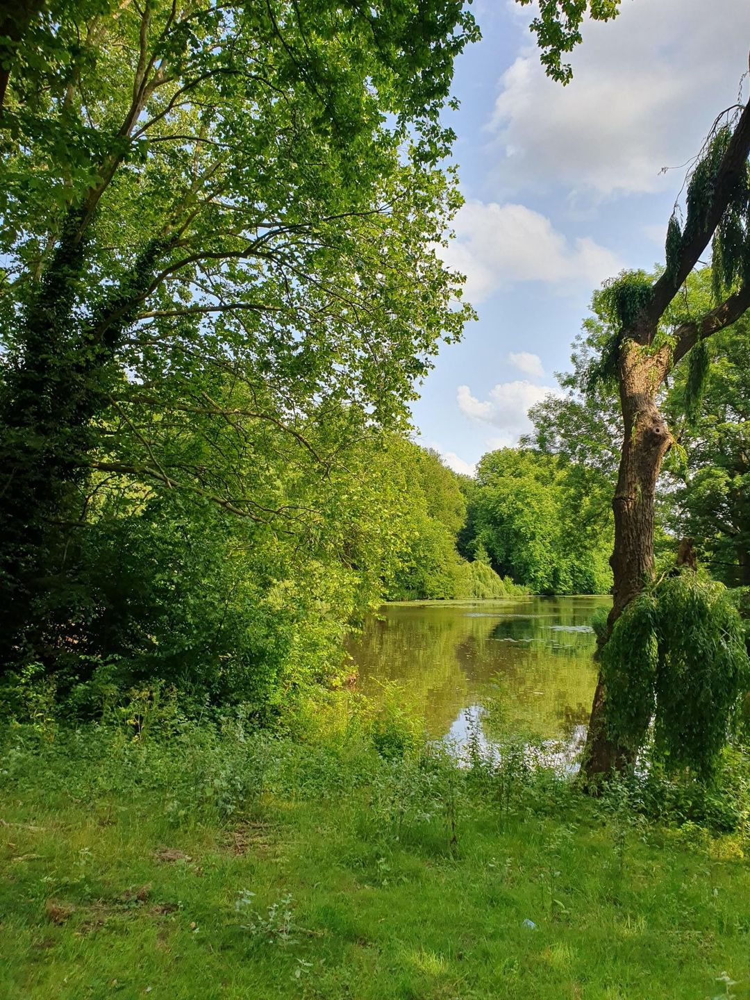 Foto 1 van Ilperveldstraat 142