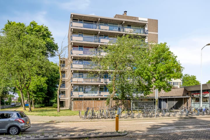 Foto 1 van Kastelenplein 103