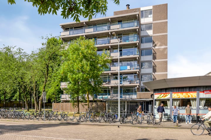 Foto 4 van Kastelenplein 103