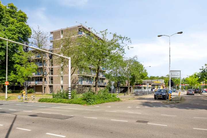 Foto 5 van Kastelenplein 103