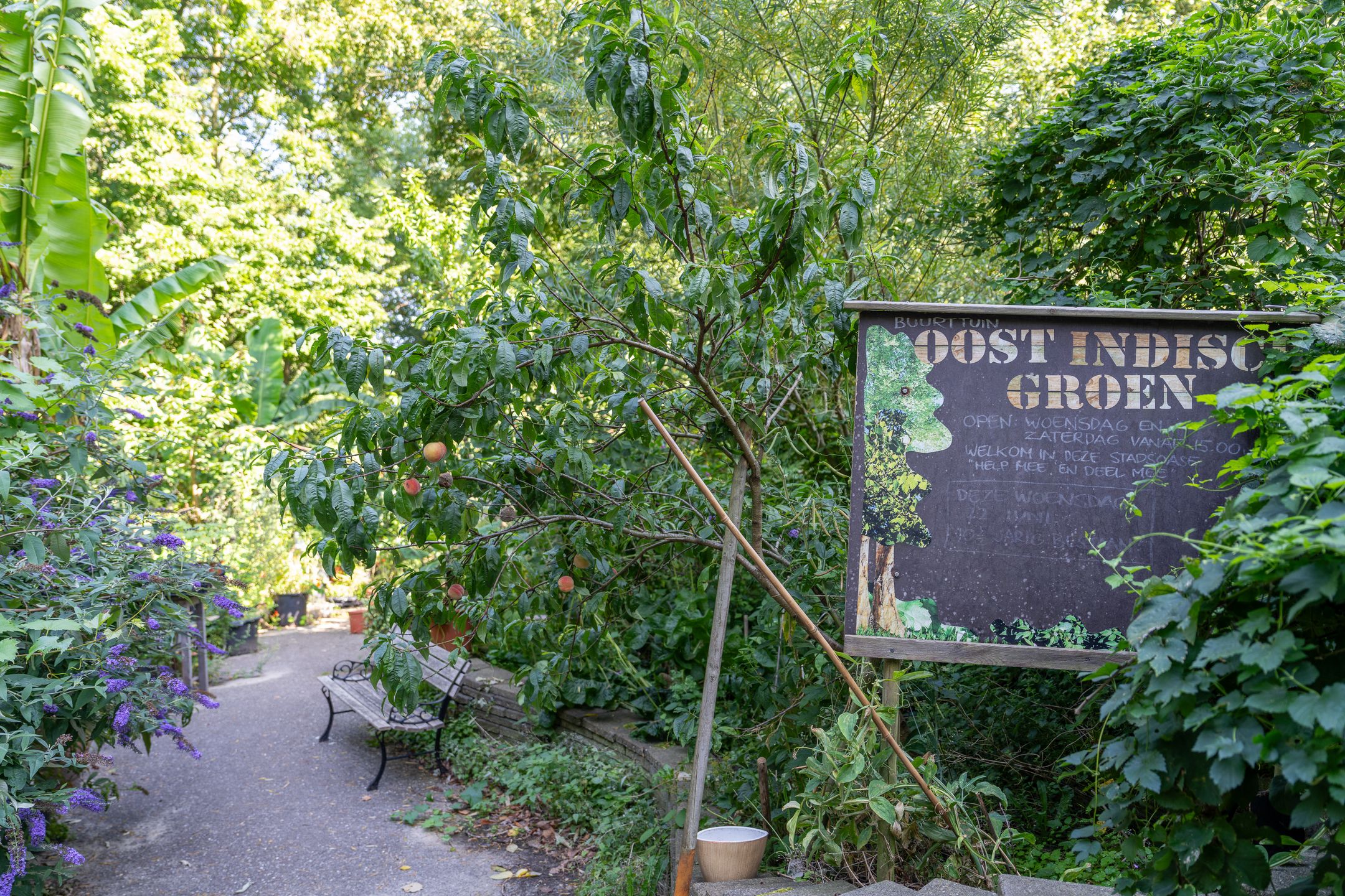 Foto 24 van Semarangstraat 26-H