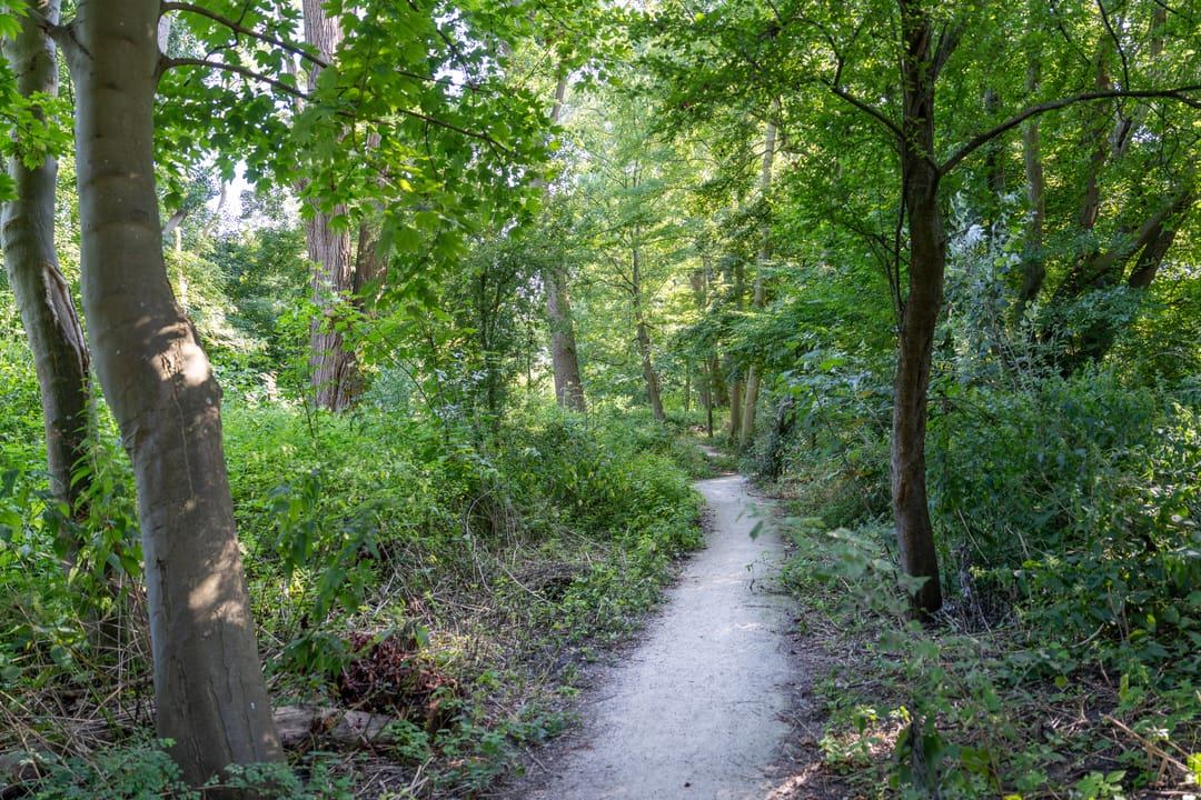 Foto 26 van Semarangstraat 26-H