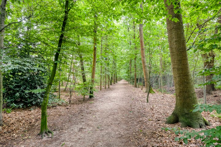 Foto 46 van Küllerlaan 26