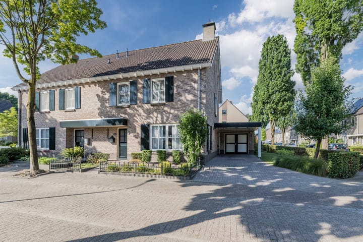 Foto 1 van Duizendblad 5