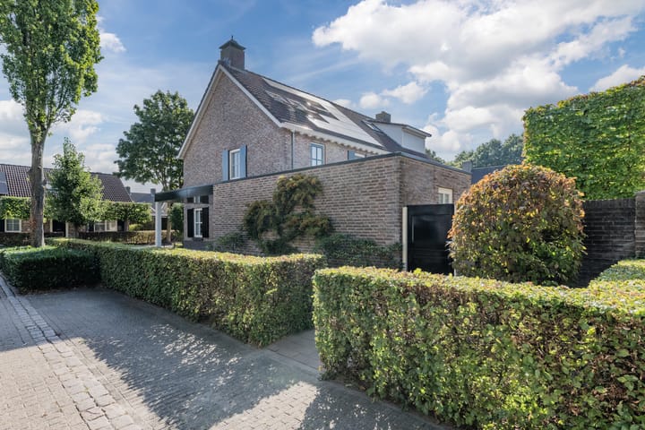 Foto 36 van Duizendblad 5