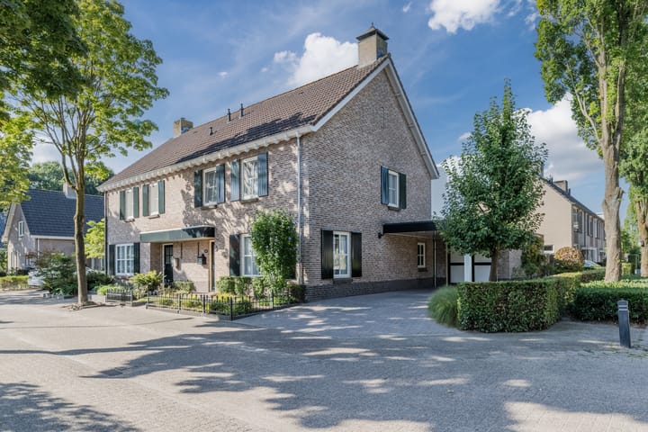 Foto 37 van Duizendblad 5