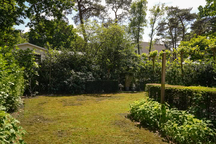 Foto 38 van Koekoekslaan 2