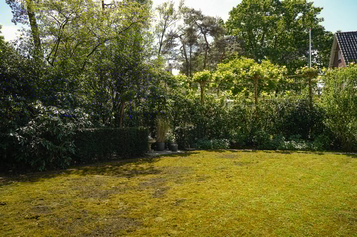 Foto 39 van Koekoekslaan 2