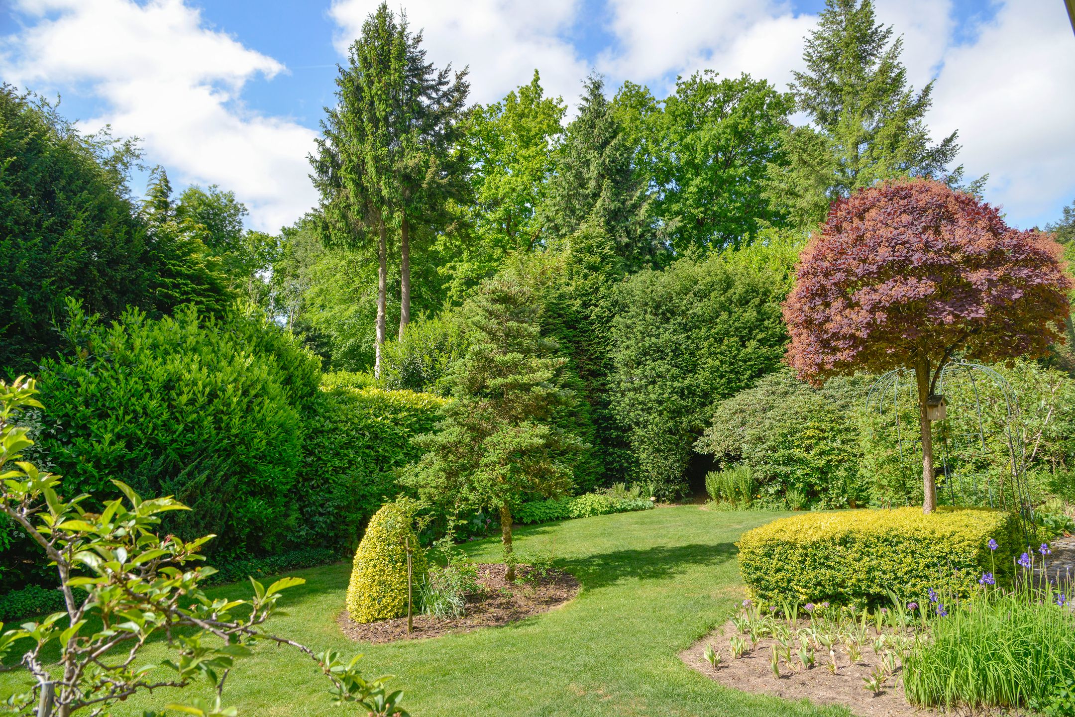 Foto 33 van Nieuwe Blaricummerweg 15