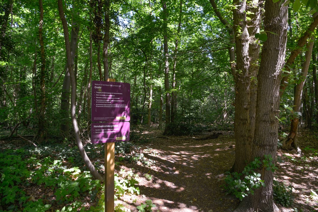 Foto 37 van Nieuwe Blaricummerweg 15