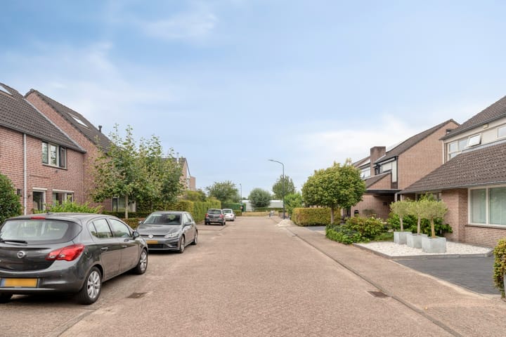 Photo 2 of Meidoorn 45