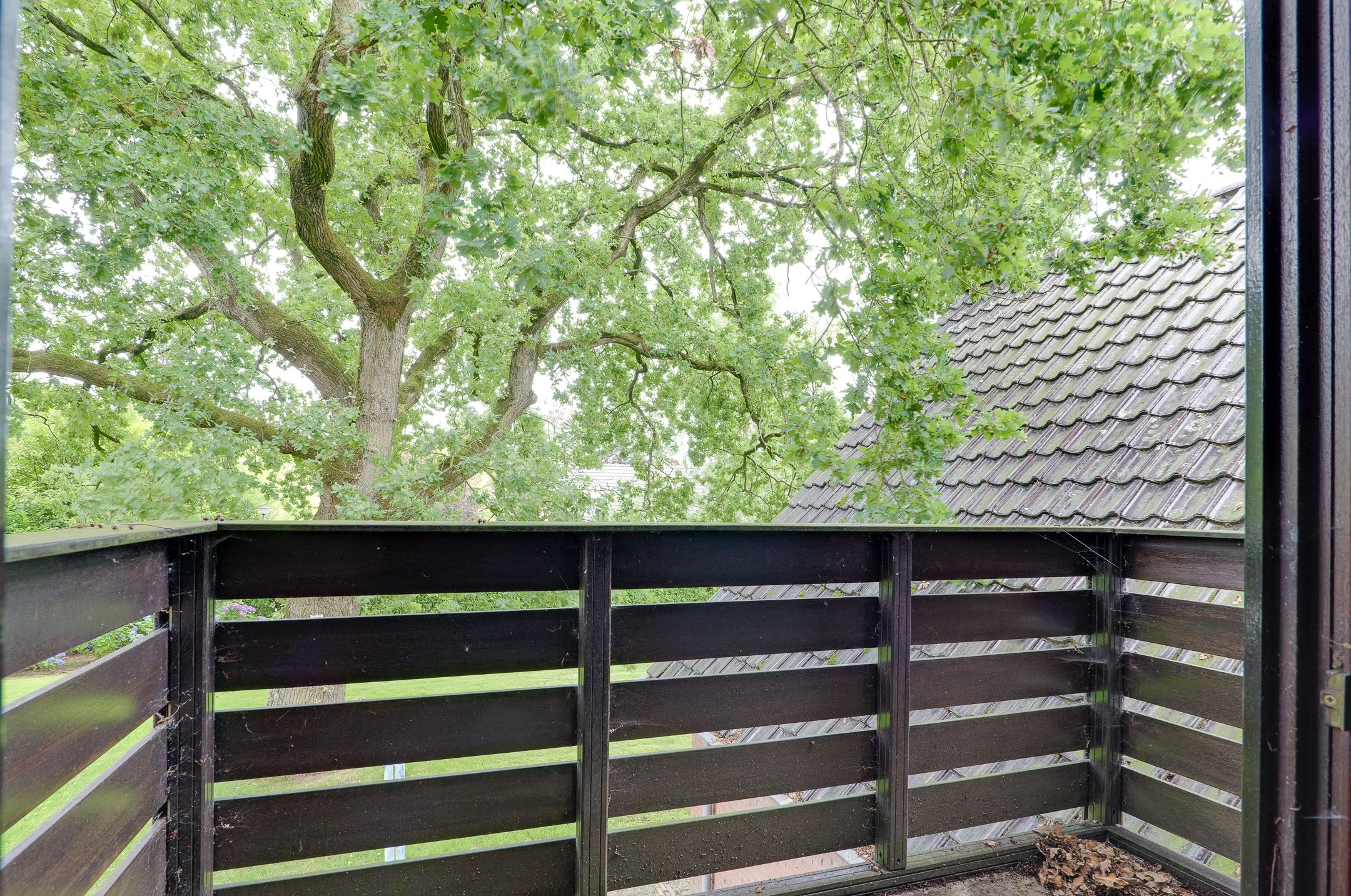 Foto 30 van Asserstraat 22