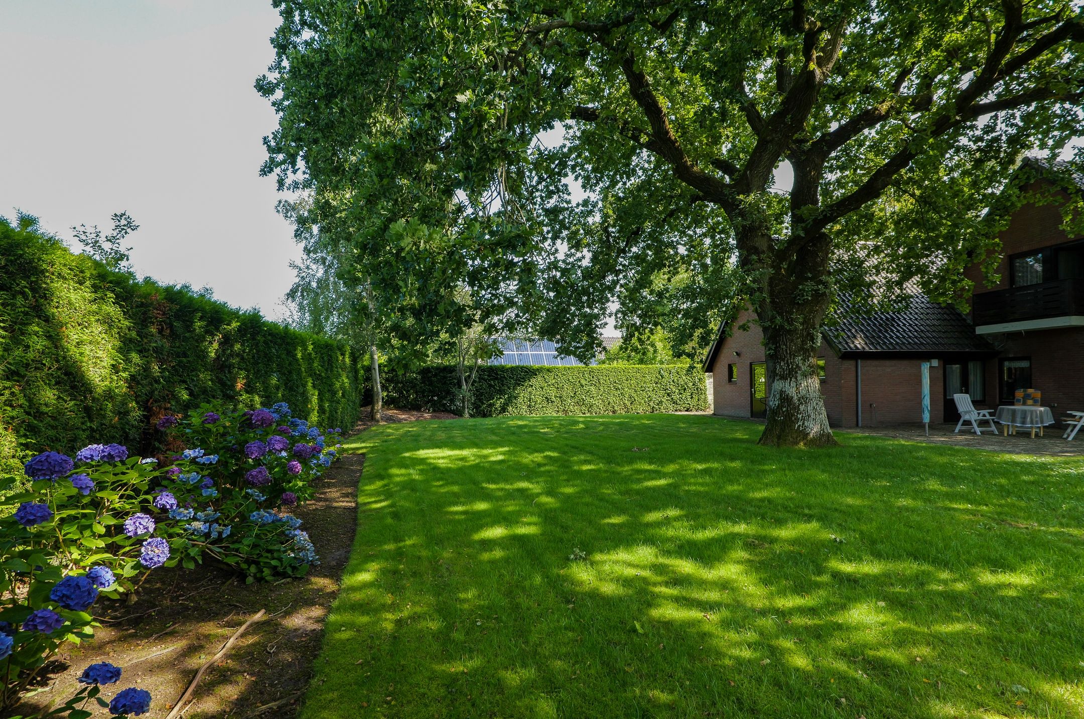 Foto 39 van Asserstraat 22