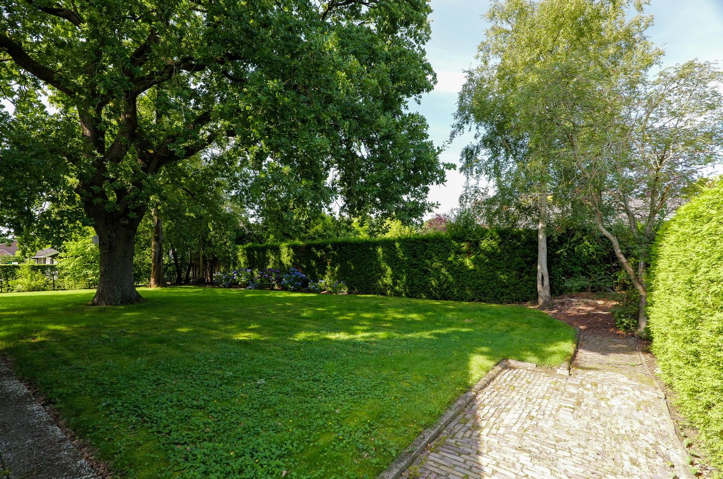 Foto 40 van Asserstraat 22