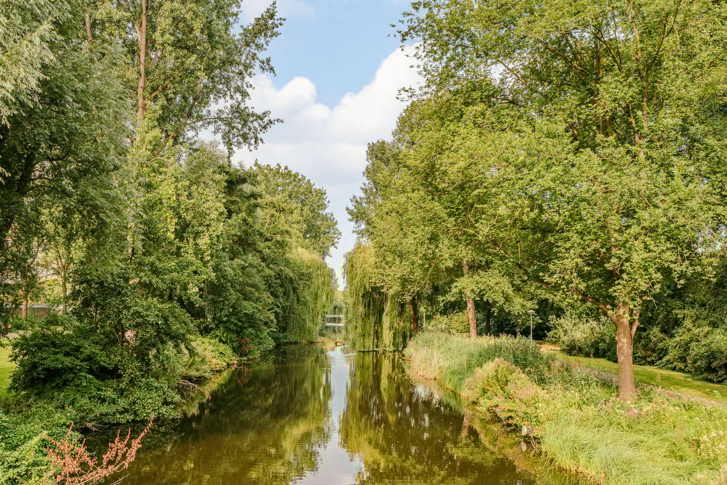 Foto 25 van Nijenburg 19