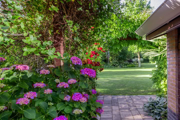 Foto 37 van Groene Velden 145