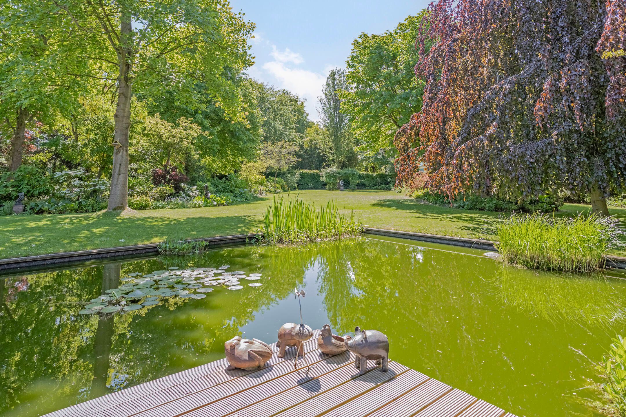 Foto 51 van Groene Velden 145