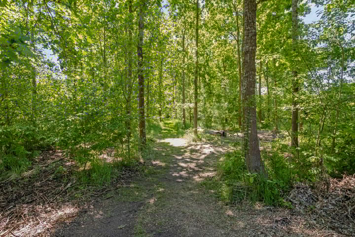 Foto 57 van Groene Velden 145