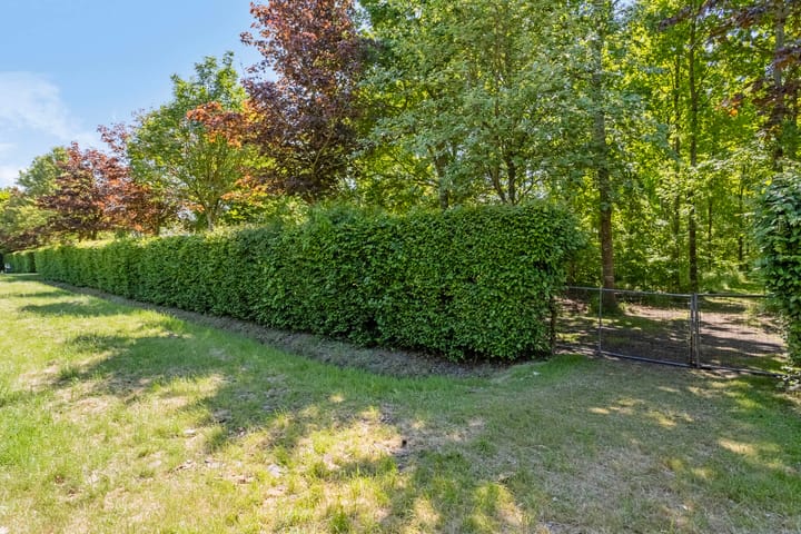 Foto 59 van Groene Velden 145