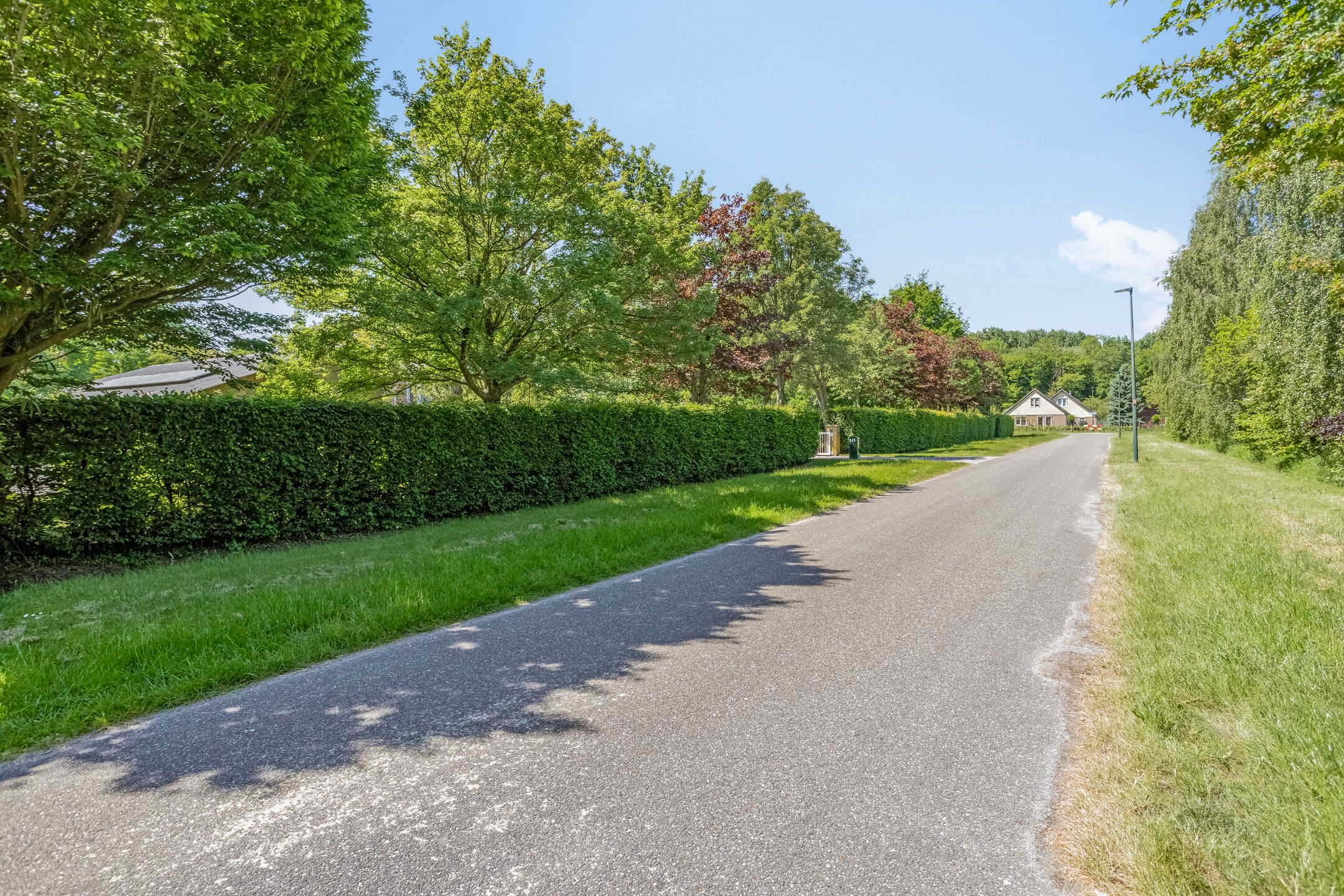 Foto 60 van Groene Velden 145