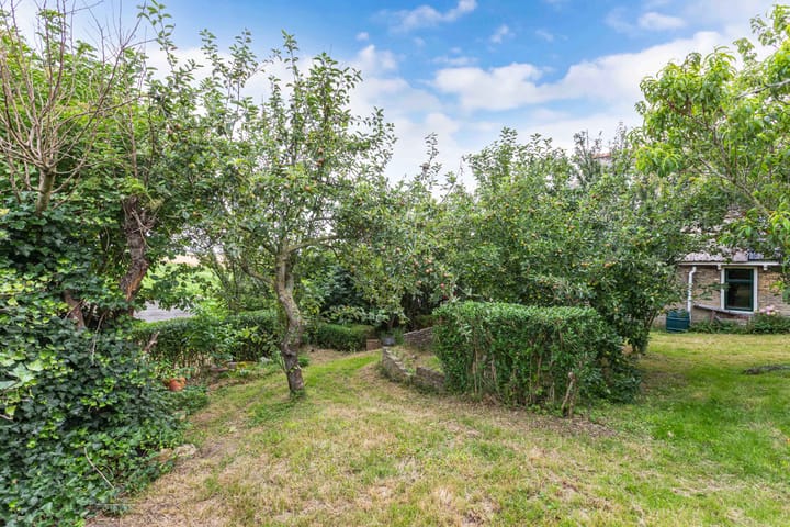 Foto 50 van Oudebildtdijk 1174