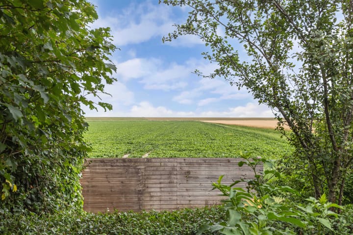 Foto 53 van Oudebildtdijk 1174