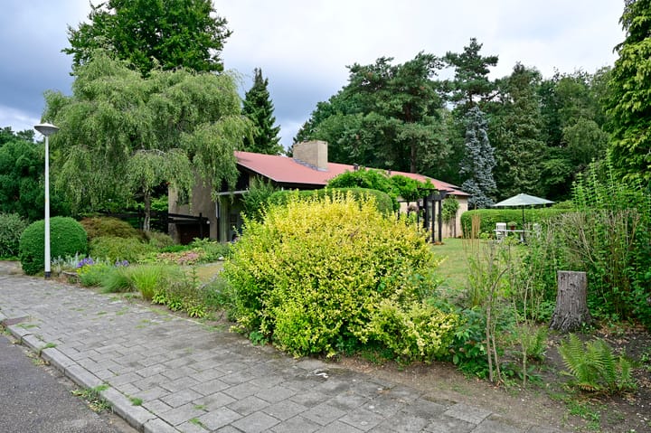 Foto 2 van Vogelenzang 10