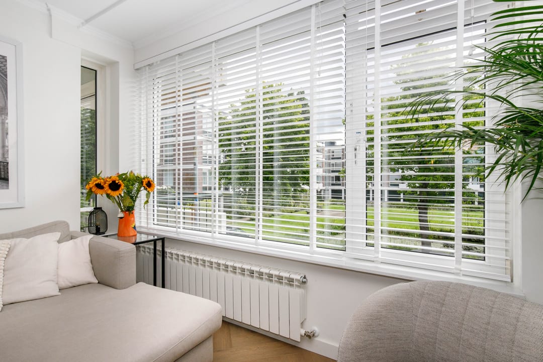 Photo 22 of De Lairesselaan 179