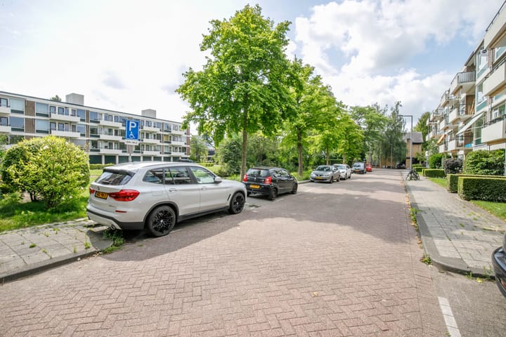 Photo 37 of De Lairesselaan 179