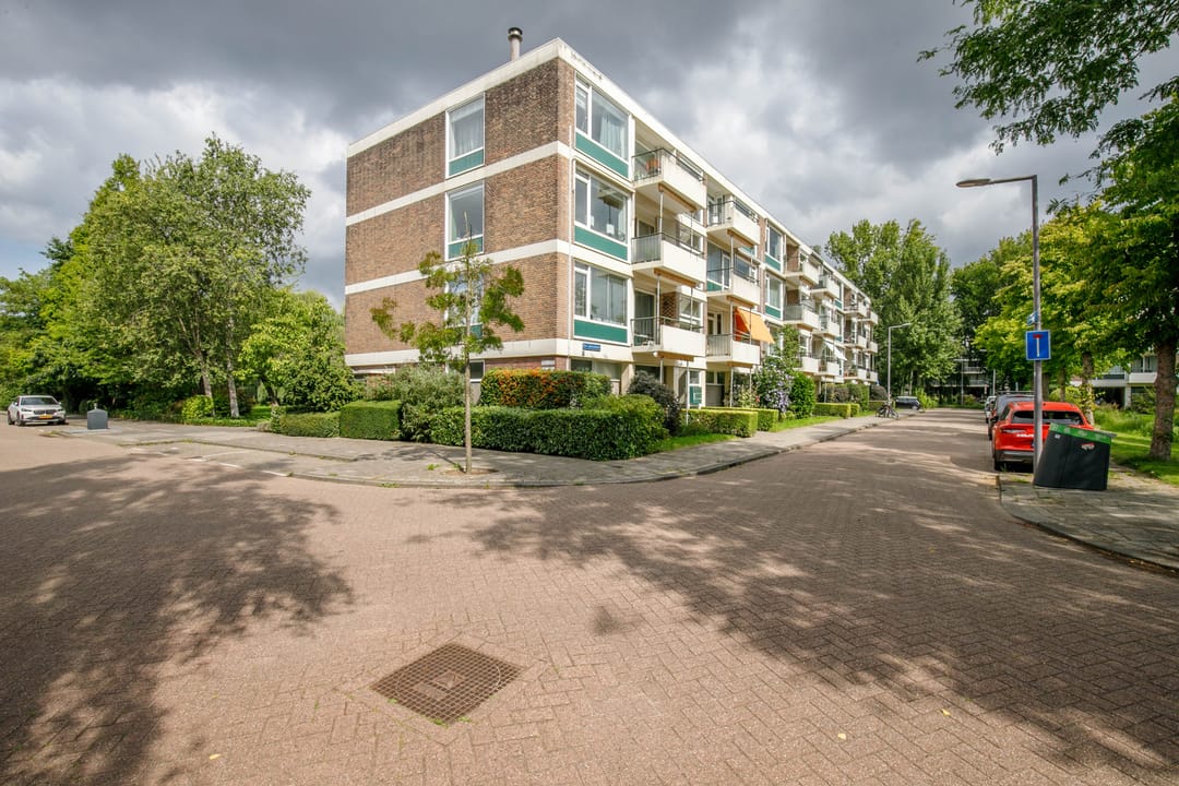 Photo 38 of De Lairesselaan 179