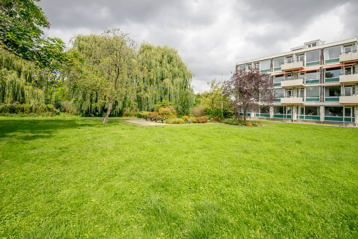 Photo 40 of De Lairesselaan 179