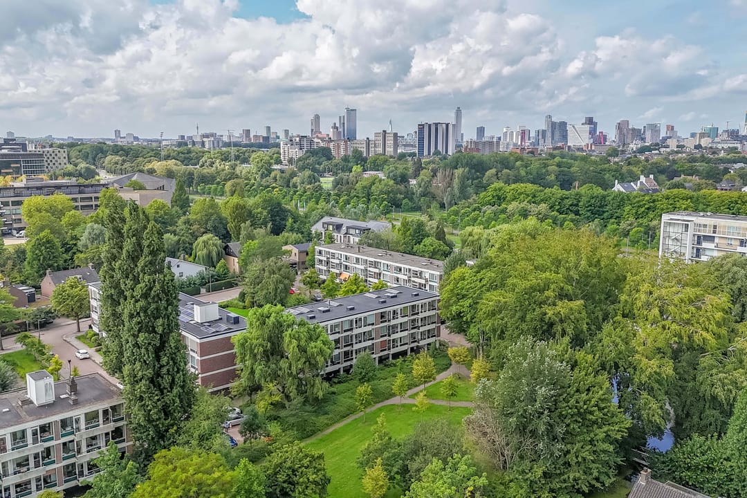 Photo 43 of De Lairesselaan 179