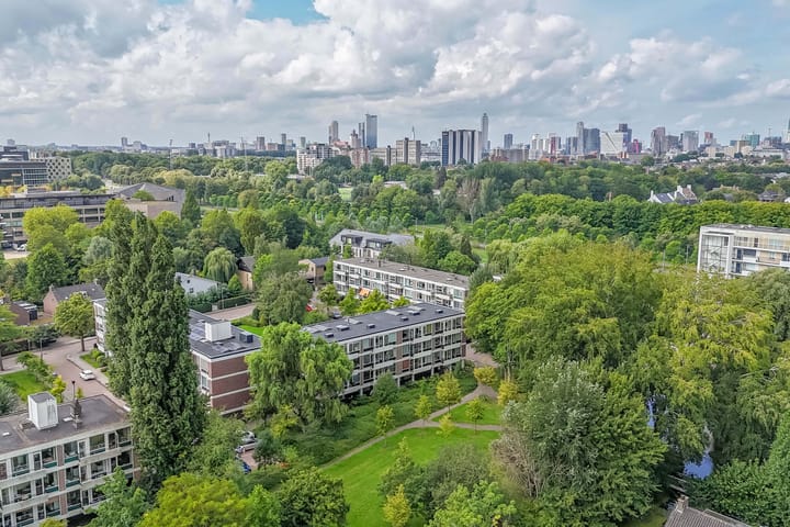 Photo 43 of De Lairesselaan 179