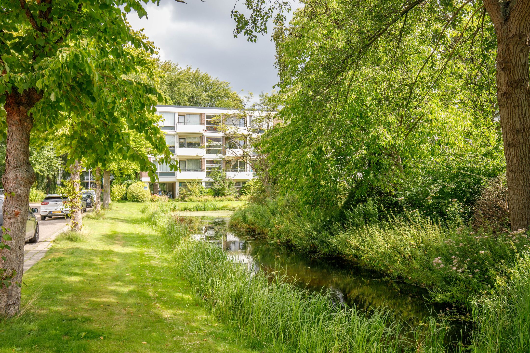 Photo 48 of De Lairesselaan 179