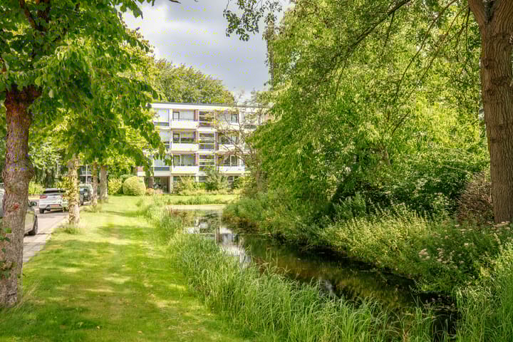 Photo 48 of De Lairesselaan 179