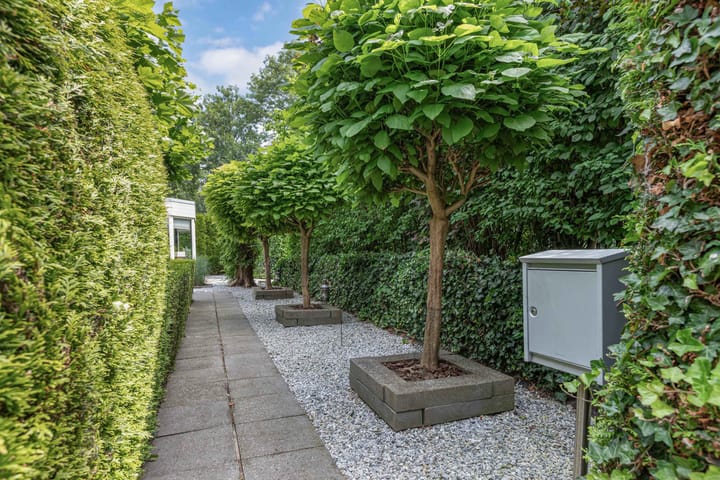 Foto 6 van Mr K Bijlsmastraat 2