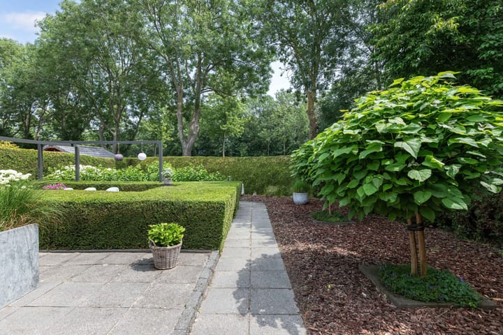 Foto 42 van Mr K Bijlsmastraat 2