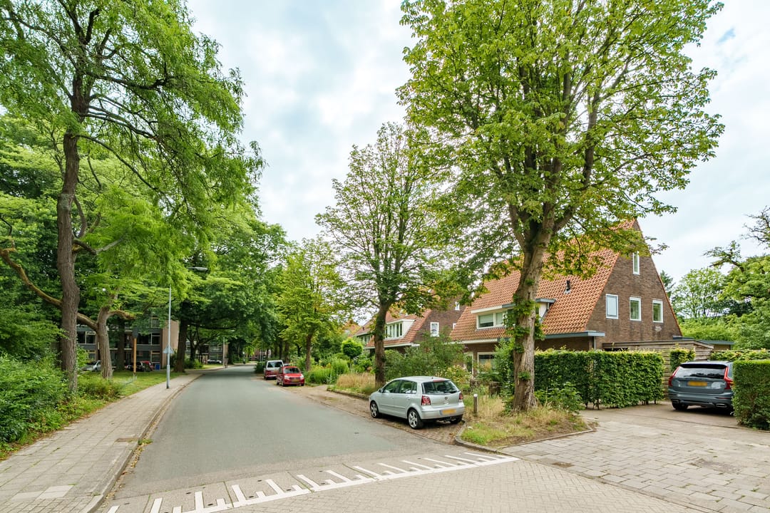 Foto 2 van Dolderstraat 10