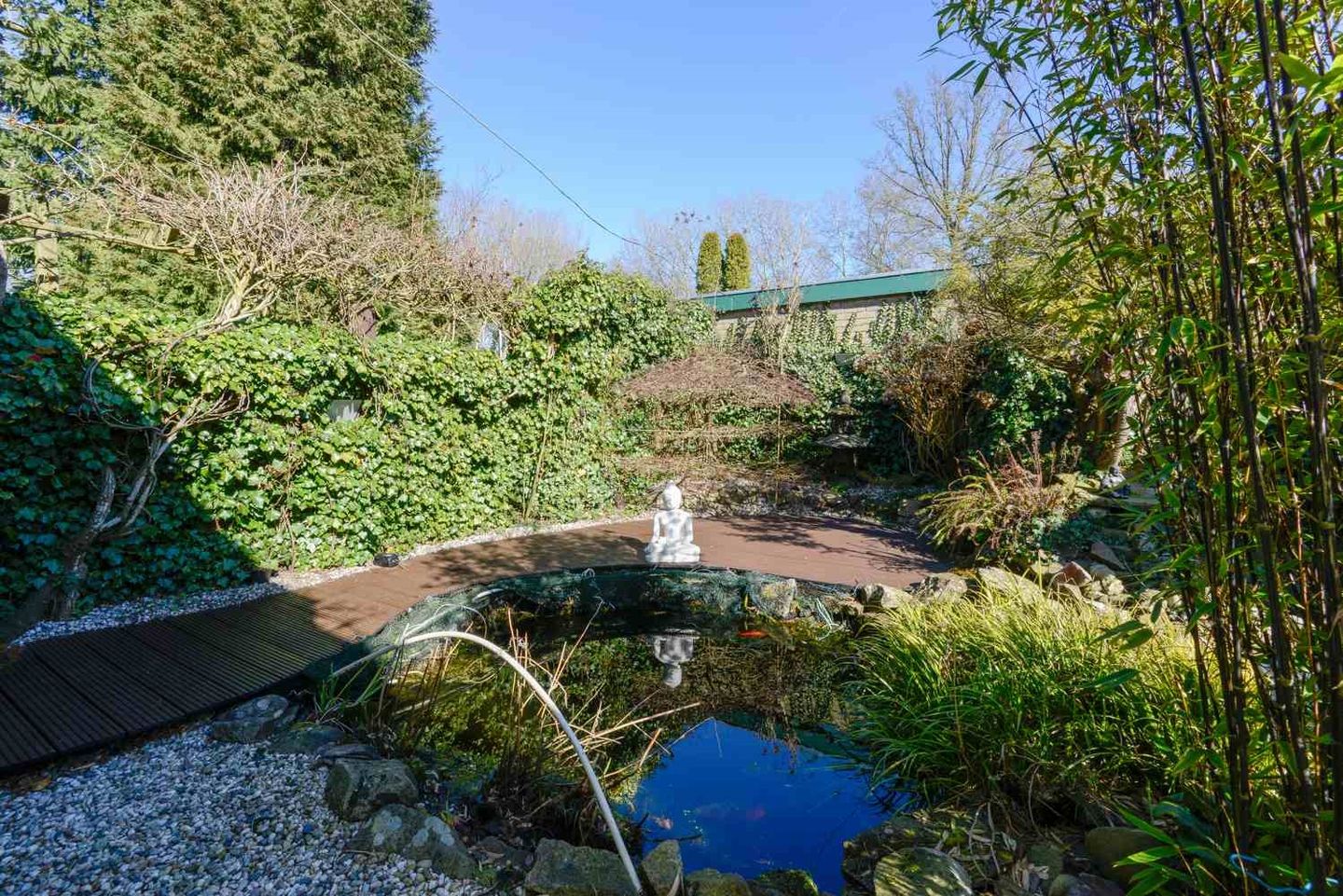 Photo 40 of Martena 15