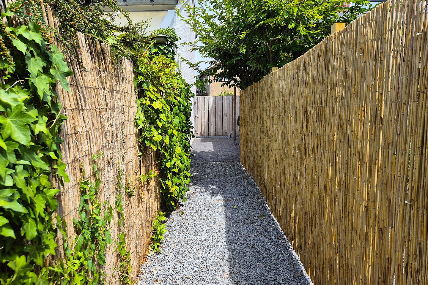 Foto 40 van Secretaris Wijnandsstraat 3