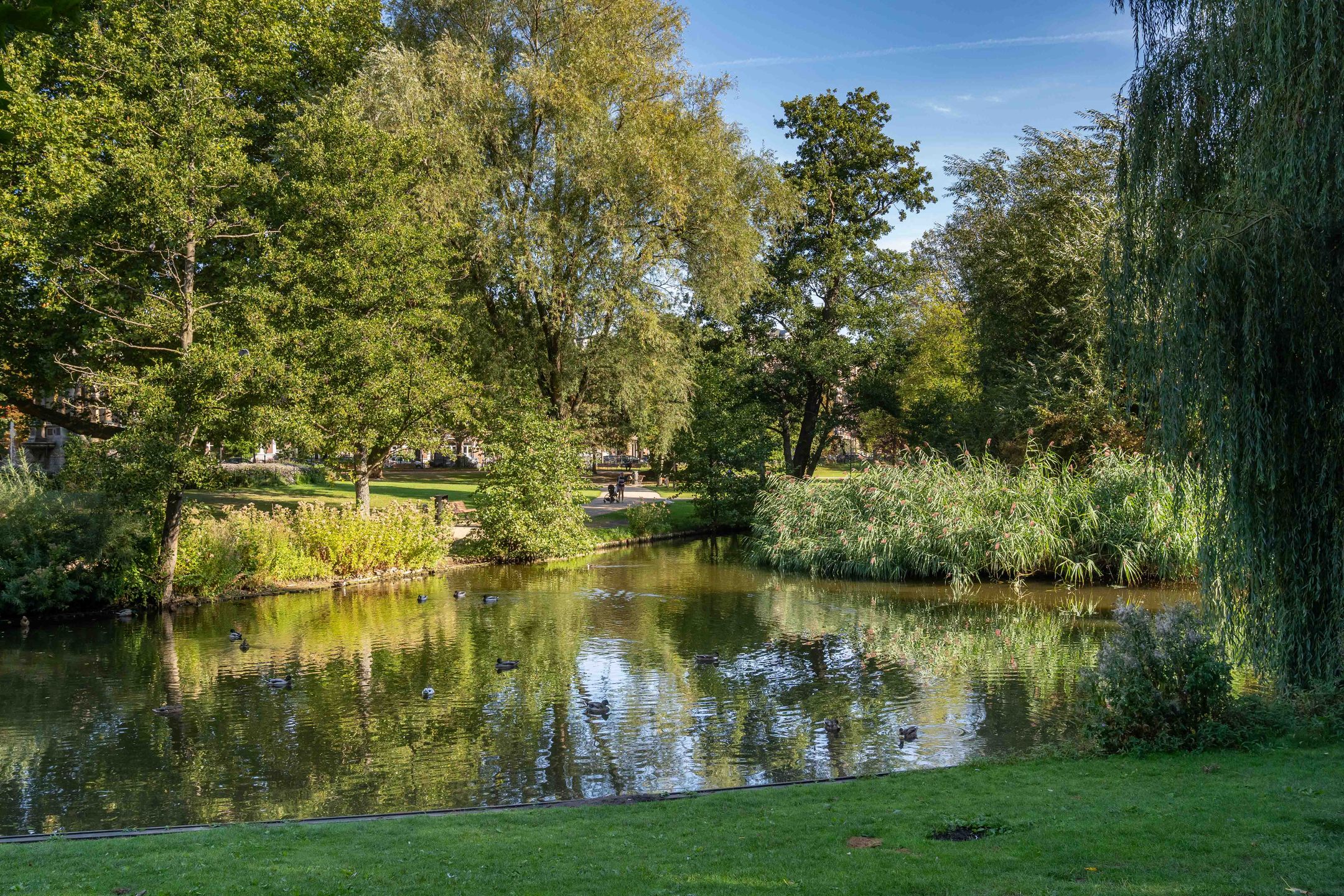 Foto 12 van Van Ostadestraat 311-H