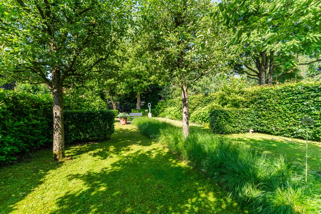 Photo 56 of Bosscheweg 53