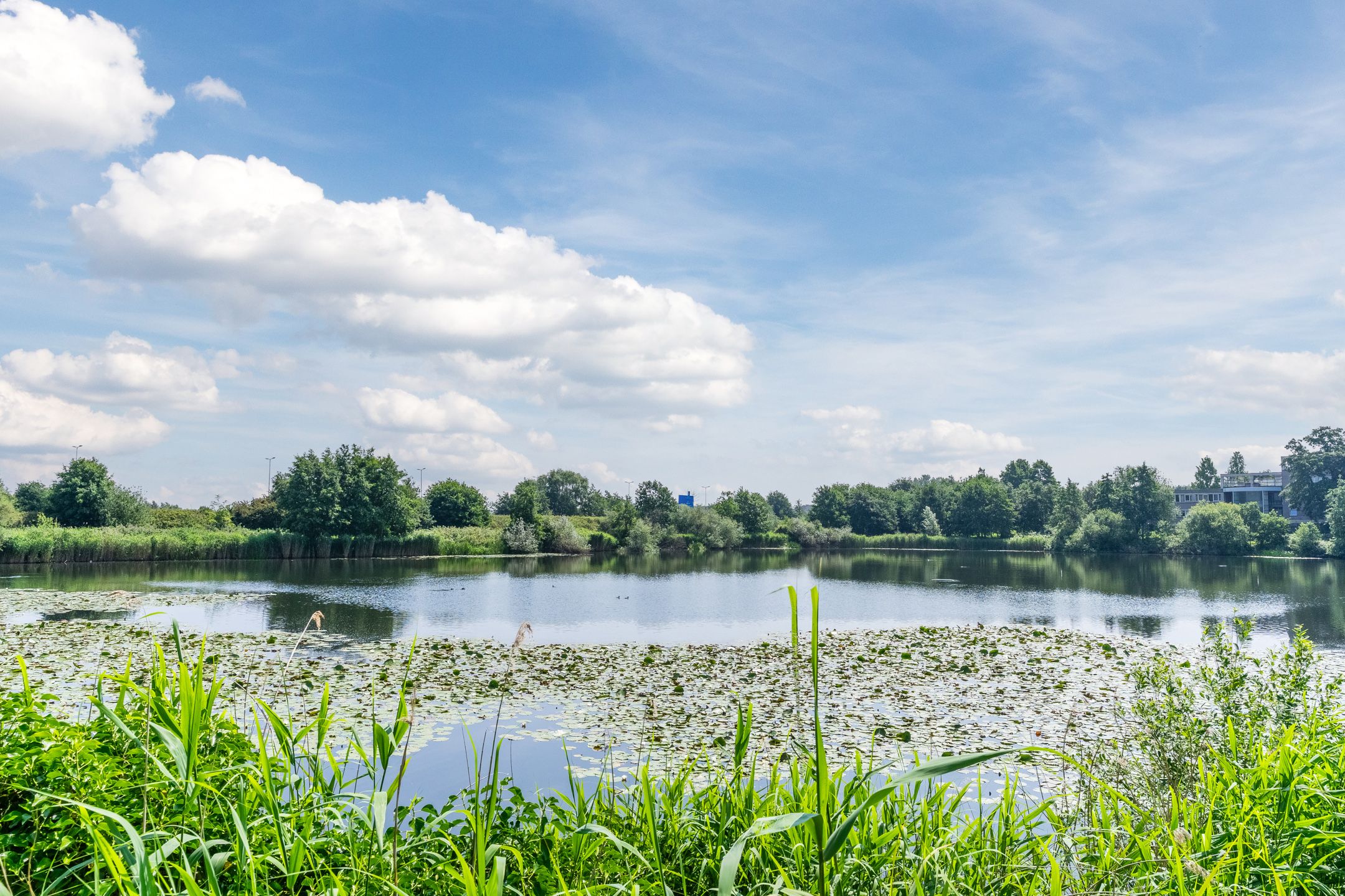 Photo 60 of Bosscheweg 53